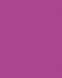 Dekorkarton, 2 oldalas, 50x70cm, 220 g, 10 lap, FOLIA, sötét rózsaszín